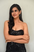 Gehna Sippy Gallery